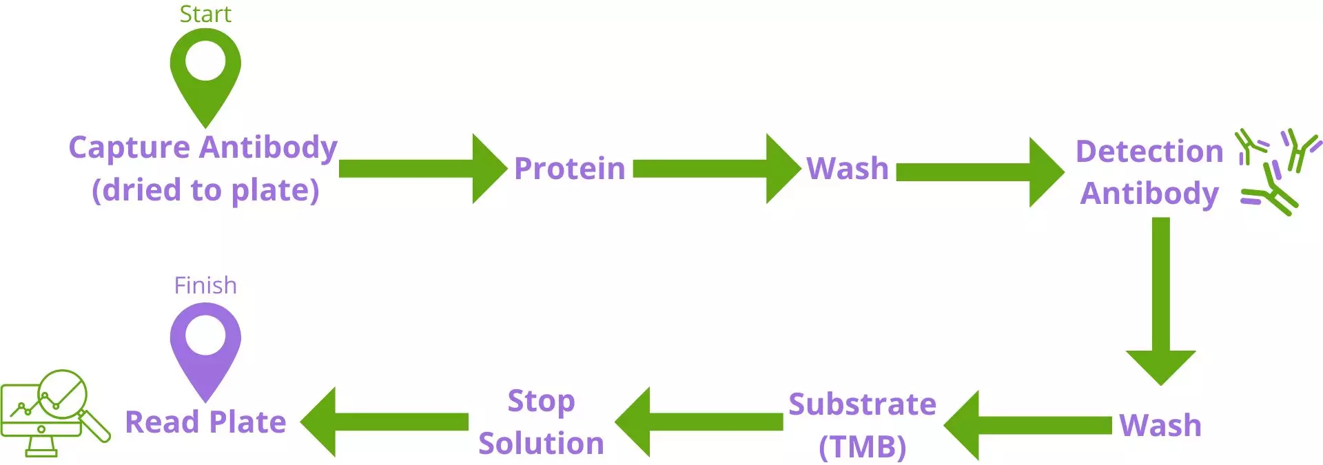 ELISA Kit Flow Chart
