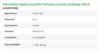 InVivoMAb Nipah virus/NiV Prefusion Protein Antibody