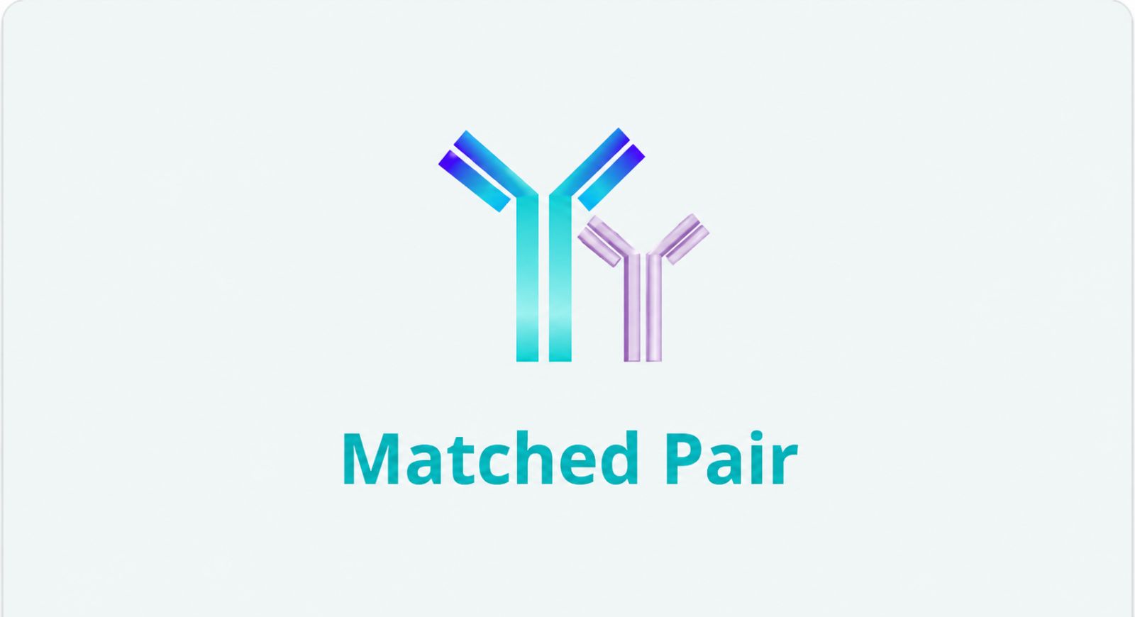 Antibody pairs