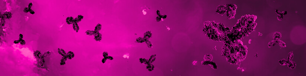 Antibody Engineering Service Banner