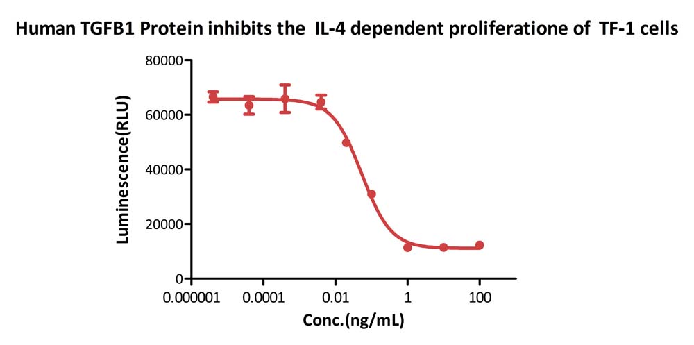 Human TGF-beta 1 protein cell-based bioactivity assay