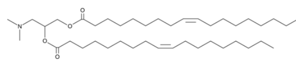 DODAP Structure