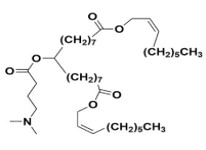 L319 Structure