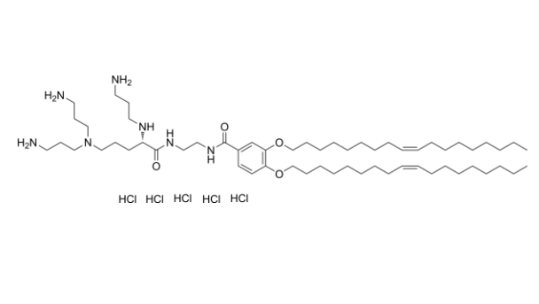 MVL5 Structure
