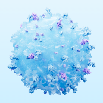 CD4 Antibody