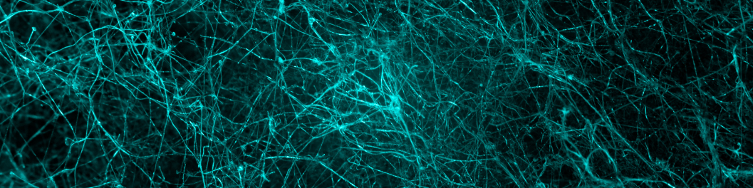 Cell Markers in Neuroscience Background