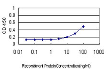 Knockdown Validation Blot for Phospho-Akt Antibody