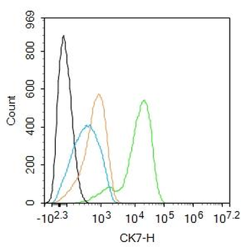 Knockdown Validation Blot for Cytokeratin 7 Antibody