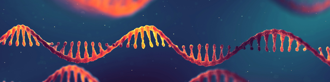 Knockdown Validated Antibodies Banner Background