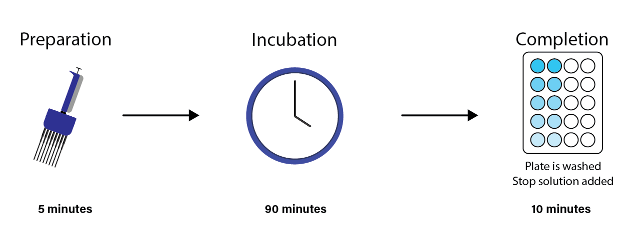 Schematic showing the streamlined single-step Quick ELISA Kit process