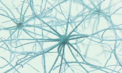 Neuroscience