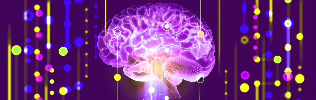 Neuroscience