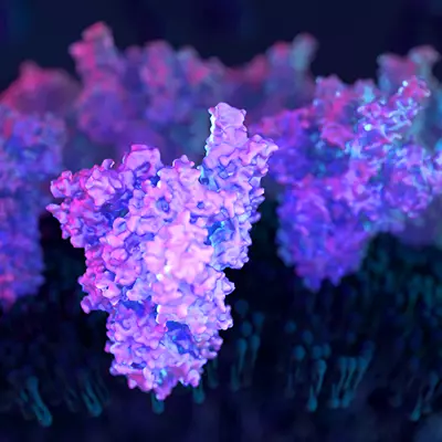 Metabolism Research