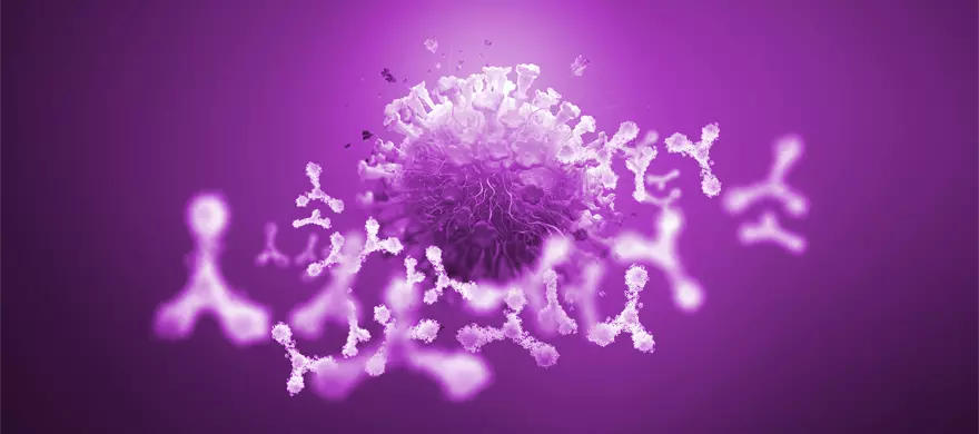 Coronavirus Variants