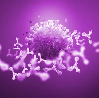 Coronavirus Variants