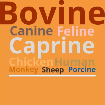 Larger animal species