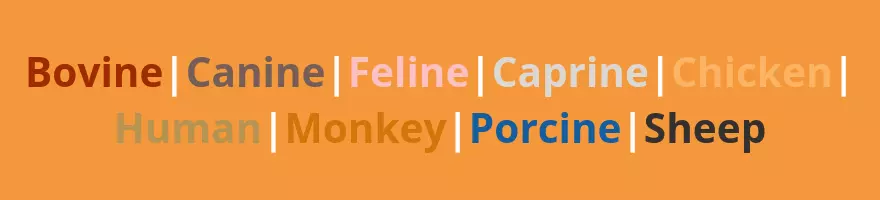 larger modal animal species