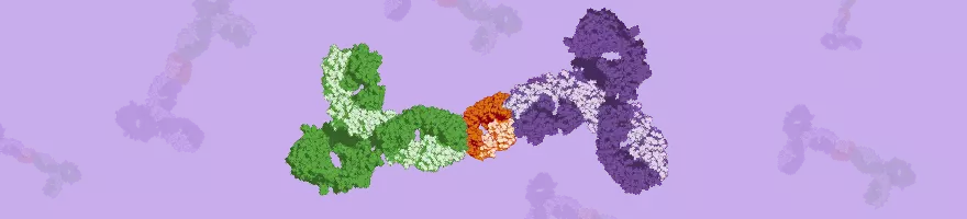Matched Antibody Pairs