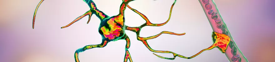 Neurodegenerative Diseases