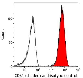 Rabbit anti-CD31 Recombinant Monoclonal Antibody [BLR180J]