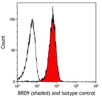 Rabbit anti-BRD9 Recombinant Monoclonal Antibody [BLR153J]