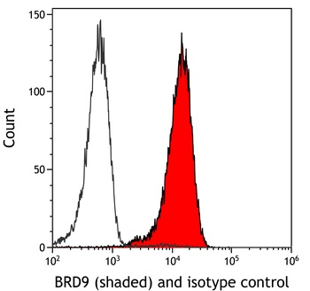 Rabbit anti-BRD9 Recombinant Monoclonal Antibody [BLR153J]