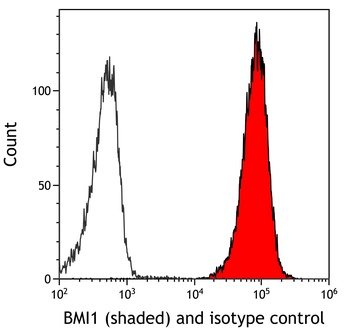 Rabbit anti-BMI1 Recombinant Monoclonal Antibody [BLR119H]
