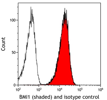 Rabbit anti-BMI1 Recombinant Monoclonal Antibody [BLR119H]