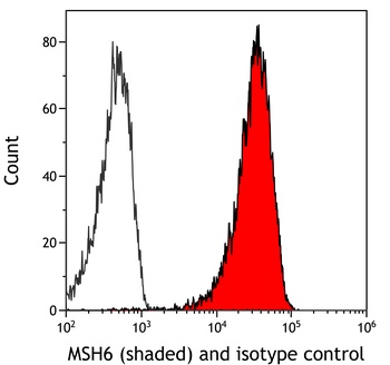 Rabbit anti-MSH6 Recombinant Monoclonal Antibody [BLR117H]