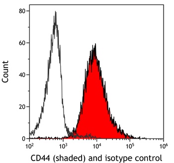 Rabbit anti-CD44 Recombinant Monoclonal Antibody [BLR038F]