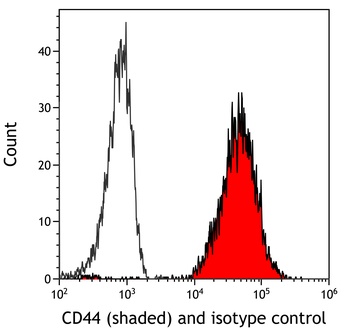 Rabbit anti-CD44 Recombinant Monoclonal Antibody [BLR038F]