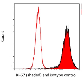 Rabbit anti-Ki-67 Recombinant Monoclonal Antibody [BLR021E]