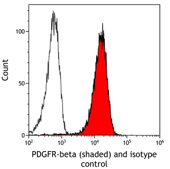 Rabbit anti-PDGFR beta Recombinant Monoclonal Antibody [BLR242L]