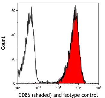 Rabbit anti-CD86 Recombinant Monoclonal Antibody [BLR255L]