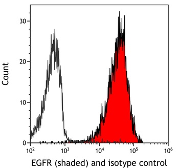 Rabbit anti-EGFR Recombinant Monoclonal Antibody [BLR252L]