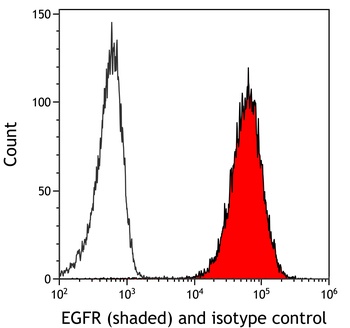 Rabbit anti-EGFR Recombinant Monoclonal Antibody [BLR252L]