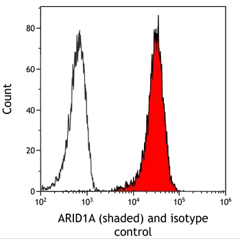 Rabbit anti-ARID1A/BAF250 Recombinant Monoclonal Antibody [BLR279L]