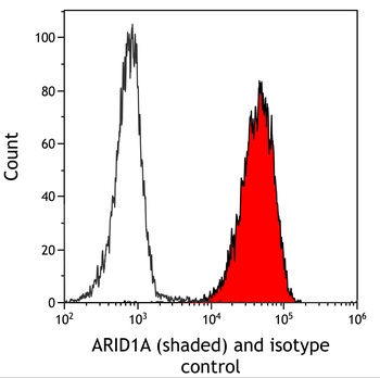 Rabbit anti-ARID1A/BAF250 Recombinant Monoclonal Antibody [BLR279L]