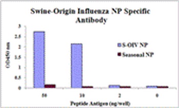 Swine H1N1 Nucleocapsid Protein Antibody