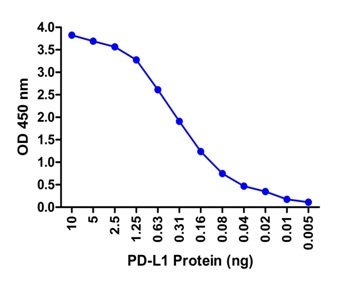 PDL1 Antibody [8E12] (biotin)