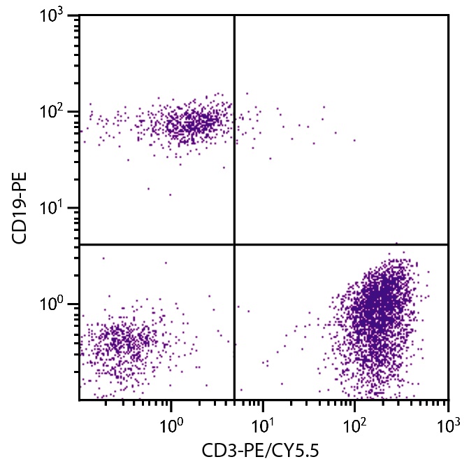 CD3 Antibody [UCHT1] (PE-Cy5.5)