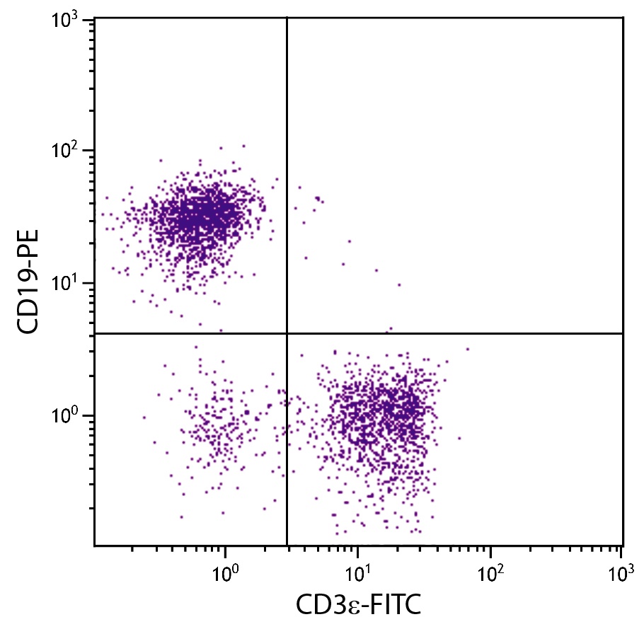 CD3e Antibody [C363.29B] (FITC)