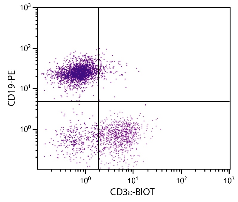 CD3e Antibody [500-A2] (Biotin)
