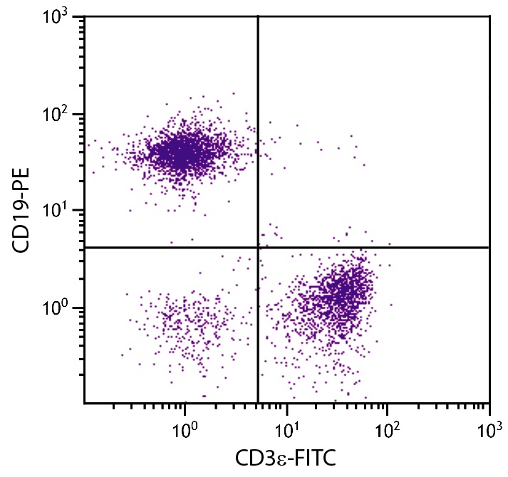 CD3e Antibody [500-A2] (FITC)