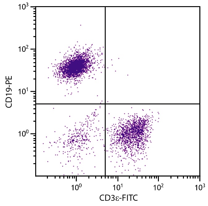 CD3e Antibody [145-2C11] (FITC)