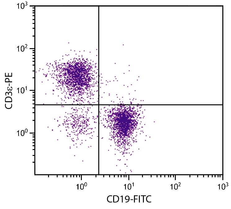 CD3e Antibody [C363.29B] (PE)
