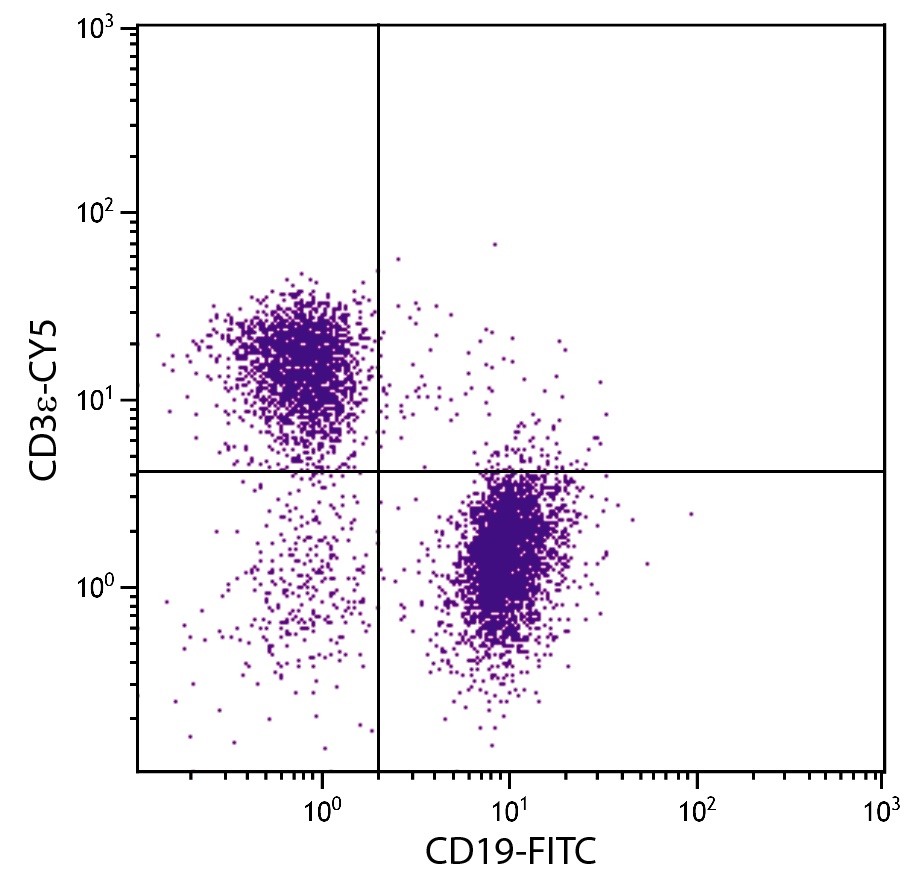 CD3e Antibody [500-A2] (Cy5)