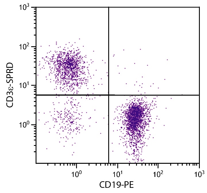 CD3e Antibody [500-A2] (PE-Cy5)