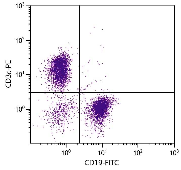 CD3e Antibody [145-2C11] (PE)