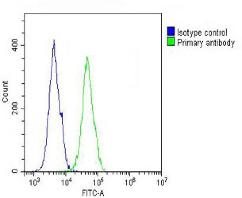 COL17A1 Antibody